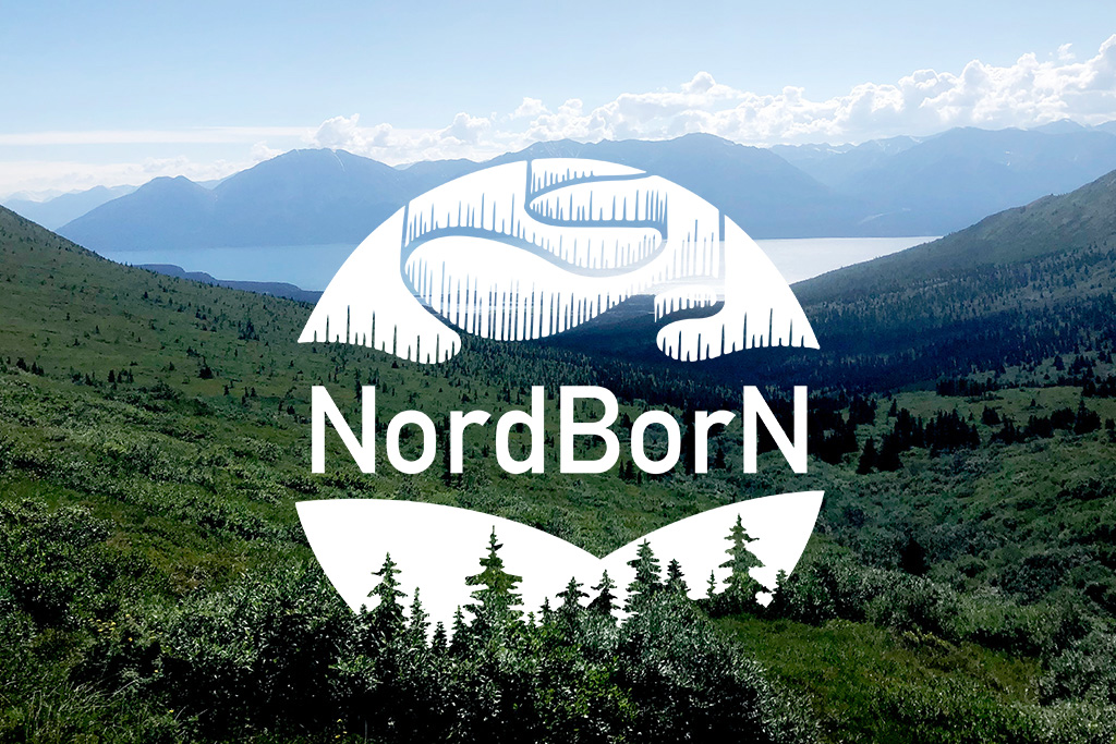 The Nordic Borealization Network (NordBorN) is a five-year project funded by NordForsk that will establish a collaboration platform across the Nordic countries to understand the implications of borealization in Nordic terrestrial ecosystems.