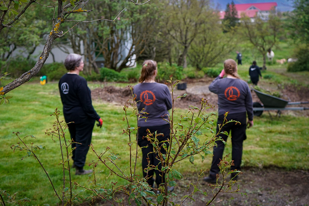 Sumarstörf við Landbúnaðarháskóla Íslands 