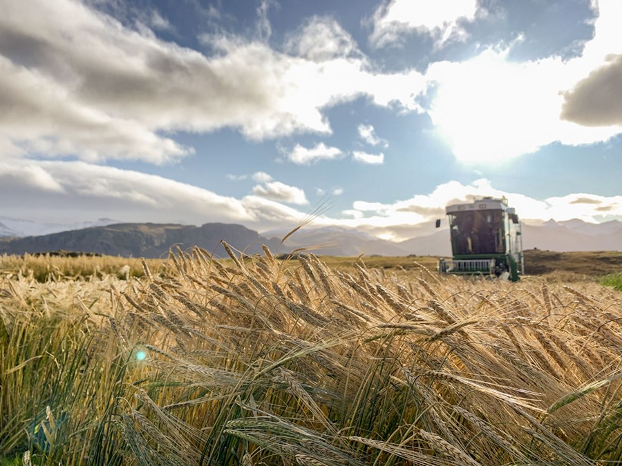 Applications open for Sustainable agriculture and rural development MSc